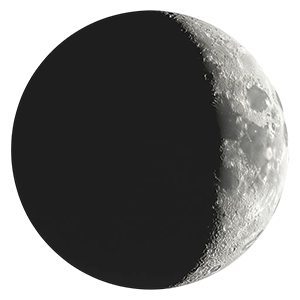 Молодая Луна