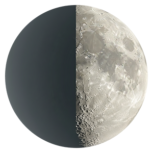 Первая четверть