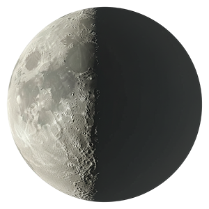 Последняя четверть